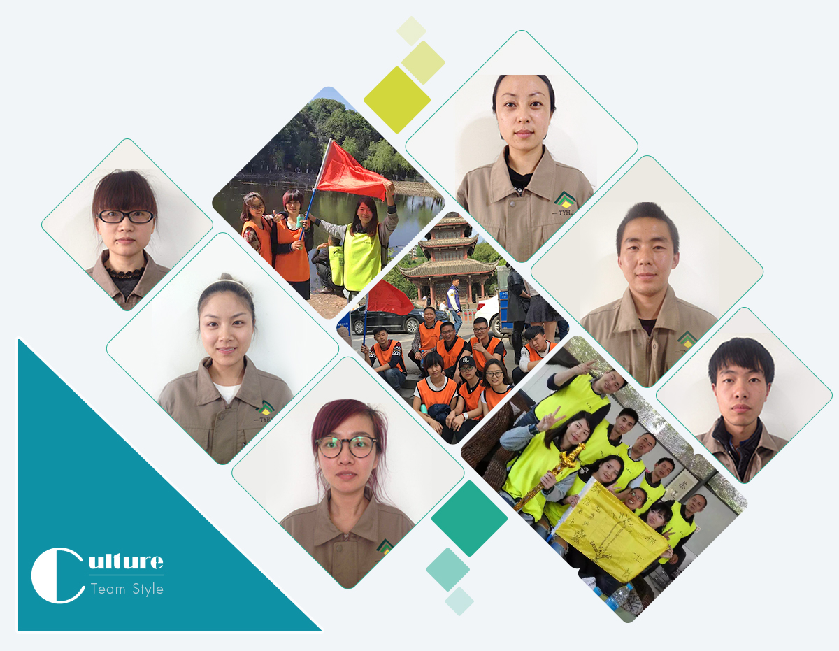 Our Team